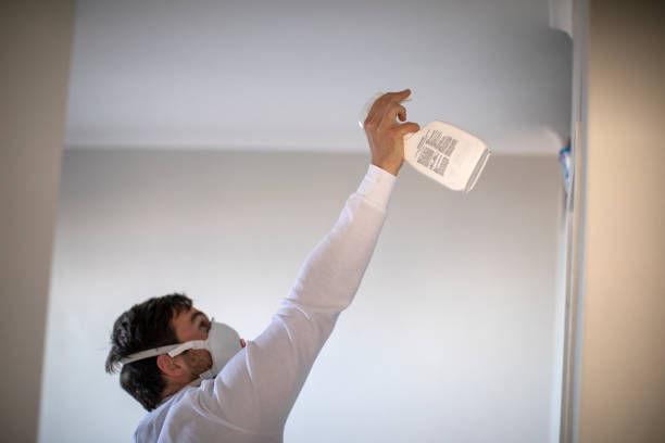 Mold Removal Process in Memphis, MI