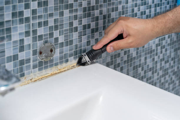 Best Black Mold Removal  in Memphis, MI