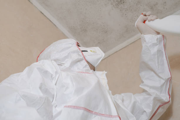 Water Damage Restoration in Memphis, MI